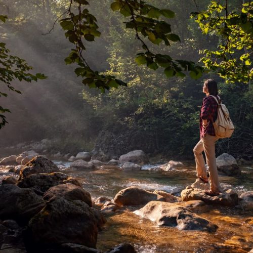 all womens inc abortion health care