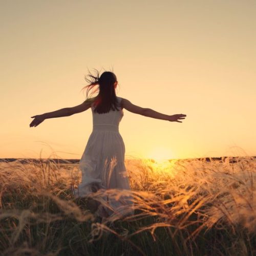 virginia abortion services